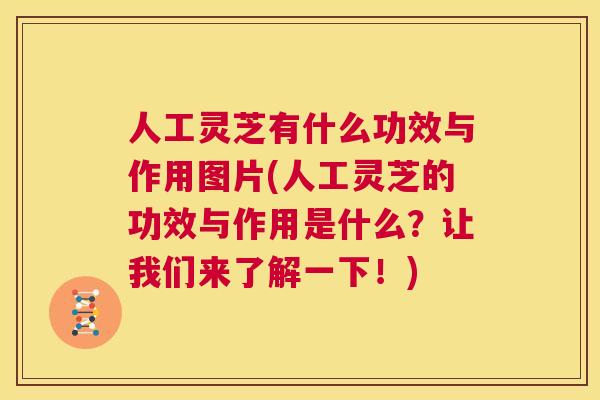 人工灵芝有什么功效与作用图片(人工灵芝的功效与作用是什么?让我们来了解一下!) 第1张 人工灵芝有什么功效与作用图片(人工灵芝的功效与作用是什么?让我们来了解一下!) 第1张