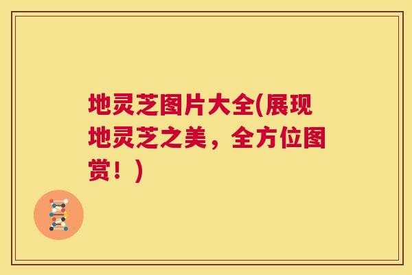 地灵芝图片大全(展现地灵芝之美,全方位图赏!) 第1张 地灵芝图片大全(展现地灵芝之美,全方位图赏!) 第1张