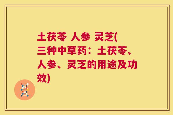 土茯苓 人参 灵芝(三种中草药：土茯苓、人参、灵芝的用途及功效)  第1张