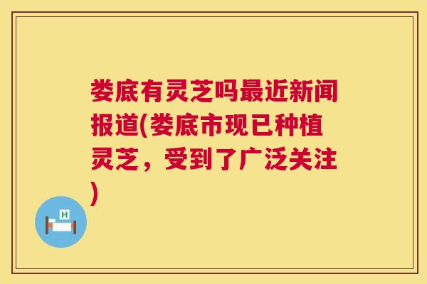 娄底有灵芝吗最近新闻报道(娄底市现已种植灵芝，受到了广泛关注)  第1张