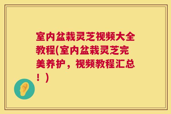 室内盆栽灵芝视频大全教程(室内盆栽灵芝完美养护,视频教程汇总!) 第1张 室内盆栽灵芝视频大全教程(室内盆栽灵芝完美养护,视频教程汇总!) 第1张