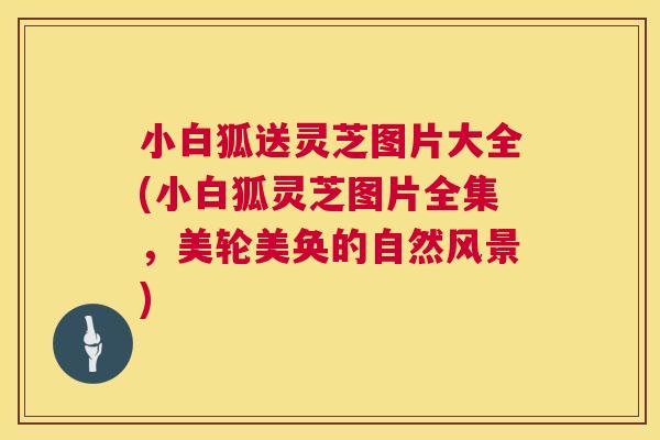 小白狐送灵芝图片大全(小白狐灵芝图片全集,美轮美奂的自然风景) 第1张 小白狐送灵芝图片大全(小白狐灵芝图片全集,美轮美奂的自然风景) 第1张