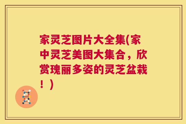 家灵芝图片大全集(家中灵芝美图大集合,欣赏瑰丽多姿的灵芝盆栽!) 第1张 家灵芝图片大全集(家中灵芝美图大集合,欣赏瑰丽多姿的灵芝盆栽!) 第1张