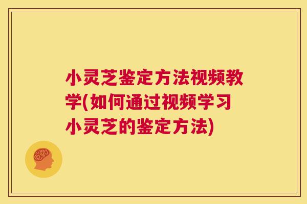 小灵芝鉴定方法视频教学(如何通过视频学习小灵芝的鉴定方法) 第1张 小灵芝鉴定方法视频教学(如何通过视频学习小灵芝的鉴定方法) 第1张