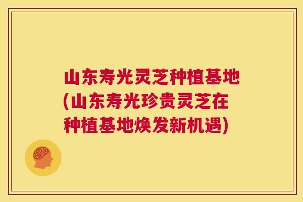 山东寿光灵芝种植基地(山东寿光珍贵灵芝在种植基地焕发新机遇)  第1张