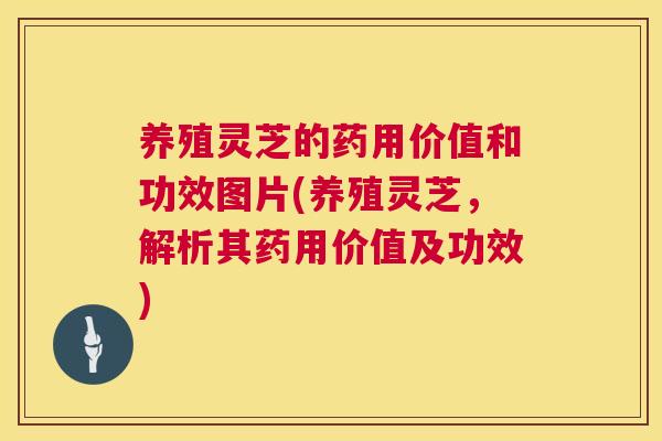 养殖灵芝的药用价值和功效图片(养殖灵芝,解析其药用价值及功效) 第1张 养殖灵芝的药用价值和功效图片(养殖灵芝,解析其药用价值及功效) 第1张