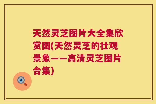 天然灵芝图片大全集欣赏图(天然灵芝的壮观景象——高清灵芝图片合集) 第1张 天然灵芝图片大全集欣赏图(天然灵芝的壮观景象——高清灵芝图片合集) 第1张