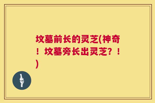 坟墓前长的灵芝(神奇!坟墓旁长出灵芝?!) 第1张 坟墓前长的灵芝(神奇!坟墓旁长出灵芝?!) 第1张