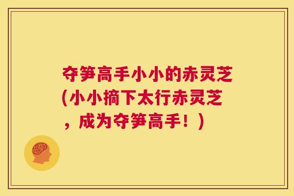夺笋高手小小的赤灵芝(小小摘下太行赤灵芝,成为夺笋高手!) 第1张 夺笋高手小小的赤灵芝(小小摘下太行赤灵芝,成为夺笋高手!) 第1张