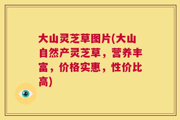 大山灵芝草图片(大山自然产灵芝草,营养丰富,价格实惠,性价比高) 第1张 大山灵芝草图片(大山自然产灵芝草,营养丰富,价格实惠,性价比高) 第1张