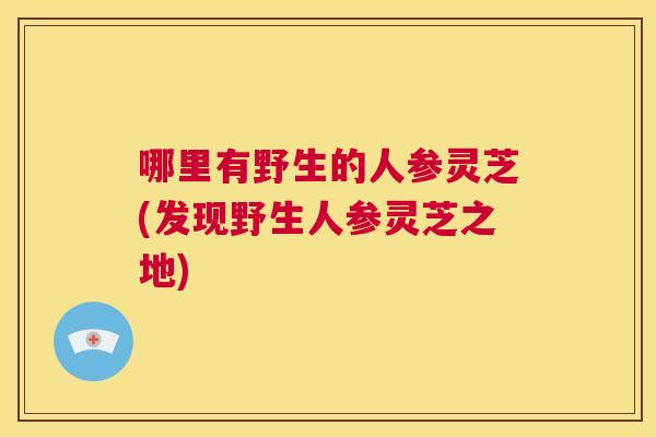 哪里有野生的人参灵芝(发现野生人参灵芝之地) 第1张 哪里有野生的人参灵芝(发现野生人参灵芝之地) 第1张