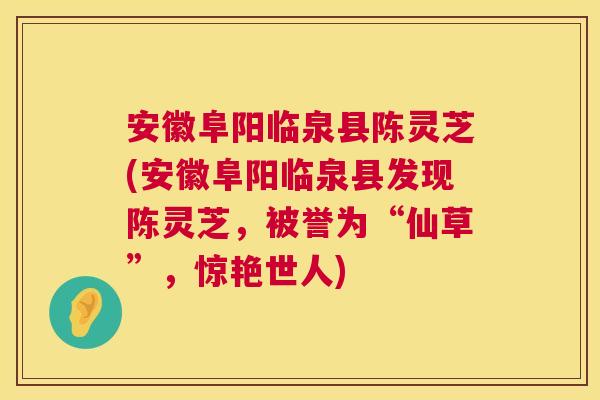 安徽阜阳临泉县陈灵芝(安徽阜阳临泉县发现陈灵芝,被誉为“仙草”,惊艳世人) 第1张 安徽阜阳临泉县陈灵芝(安徽阜阳临泉县发现陈灵芝,被誉为“仙草”,惊艳世人) 第1张