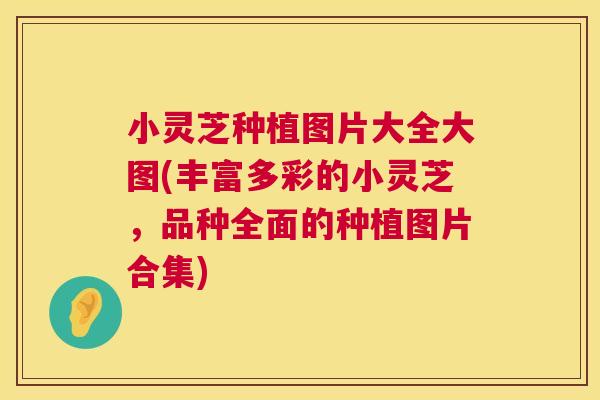 小灵芝种植图片大全大图(丰富多彩的小灵芝,品种全面的种植图片合集) 第1张 小灵芝种植图片大全大图(丰富多彩的小灵芝,品种全面的种植图片合集) 第1张