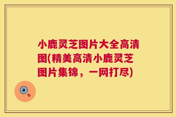 小鹿灵芝图片大全高清图(精美高清小鹿灵芝图片集锦,一网打尽) 第1张 小鹿灵芝图片大全高清图(精美高清小鹿灵芝图片集锦,一网打尽) 第1张