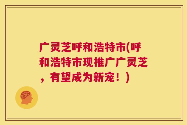 广灵芝呼和浩特市(呼和浩特市现推广广灵芝,有望成为新宠!) 第1张 广灵芝呼和浩特市(呼和浩特市现推广广灵芝,有望成为新宠!) 第1张