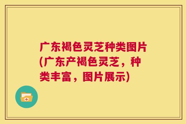 广东褐色灵芝种类图片(广东产褐色灵芝,种类丰富,图片展示) 第1张 广东褐色灵芝种类图片(广东产褐色灵芝,种类丰富,图片展示) 第1张