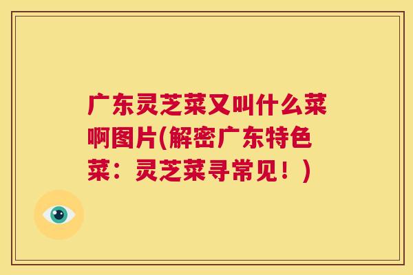 广东灵芝菜又叫什么菜啊图片(解密广东特色菜:灵芝菜寻常见!) 第1张 广东灵芝菜又叫什么菜啊图片(解密广东特色菜:灵芝菜寻常见!) 第1张