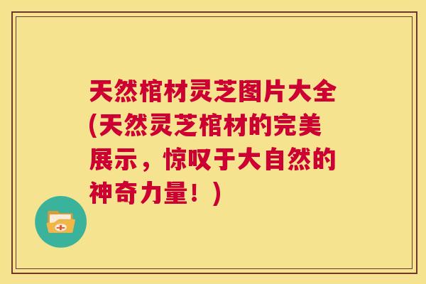 天然棺材灵芝图片大全(天然灵芝棺材的完美展示,惊叹于大自然的神奇力量!) 第1张 天然棺材灵芝图片大全(天然灵芝棺材的完美展示,惊叹于大自然的神奇力量!) 第1张