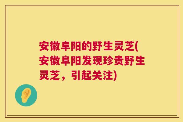 安徽阜阳的野生灵芝(安徽阜阳发现珍贵野生灵芝,引起关注) 第1张 安徽阜阳的野生灵芝(安徽阜阳发现珍贵野生灵芝,引起关注) 第1张