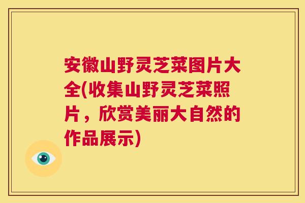 安徽山野灵芝菜图片大全(收集山野灵芝菜照片,欣赏美丽大自然的作品展示) 第1张 安徽山野灵芝菜图片大全(收集山野灵芝菜照片,欣赏美丽大自然的作品展示) 第1张