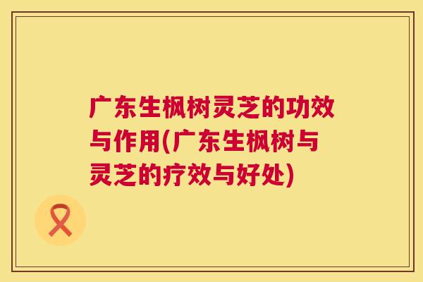 广东生枫树灵芝的功效与作用(广东生枫树与灵芝的疗效与好处) 第1张 广东生枫树灵芝的功效与作用(广东生枫树与灵芝的疗效与好处) 第1张