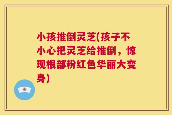 小孩推倒灵芝(孩子不小心把灵芝给推倒,惊现根部粉红色华丽大变身) 第1张 小孩推倒灵芝(孩子不小心把灵芝给推倒,惊现根部粉红色华丽大变身) 第1张