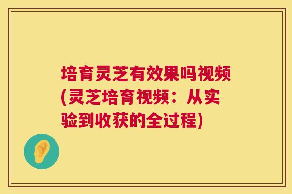 培育灵芝有效果吗视频(灵芝培育视频:从实验到收获的全过程) 第1张 培育灵芝有效果吗视频(灵芝培育视频:从实验到收获的全过程) 第1张