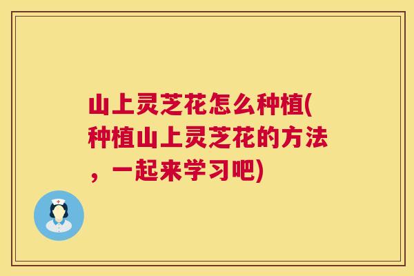 山上灵芝花怎么种植(种植山上灵芝花的方法,一起来学习吧) 第1张 山上灵芝花怎么种植(种植山上灵芝花的方法,一起来学习吧) 第1张