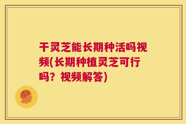干灵芝能长期种活吗视频(长期种植灵芝可行吗?视频解答) 第1张 干灵芝能长期种活吗视频(长期种植灵芝可行吗?视频解答) 第1张