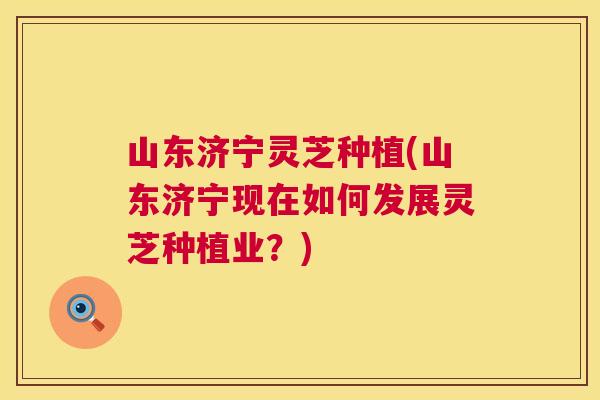 山东济宁灵芝种植(山东济宁现在如何发展灵芝种植业?) 第1张 山东济宁灵芝种植(山东济宁现在如何发展灵芝种植业?) 第1张