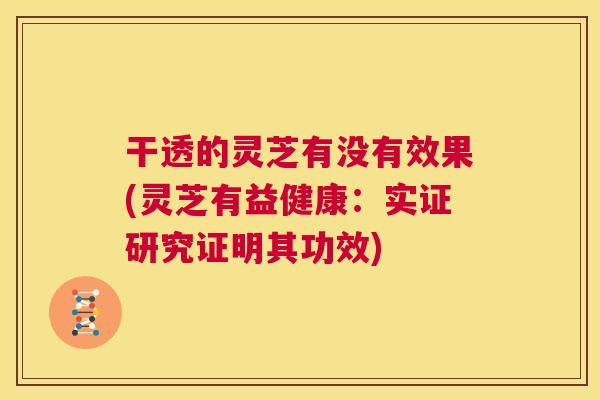 干透的灵芝有没有效果(灵芝有益健康:实证研究证明其功效) 第1张 干透的灵芝有没有效果(灵芝有益健康:实证研究证明其功效) 第1张