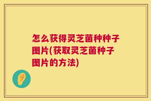 怎么获得灵芝菌种种子图片(获取灵芝菌种子图片的方法)  第1张