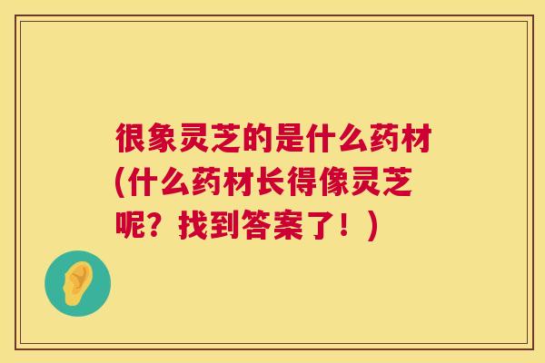 很象灵芝的是什么药材(什么药材长得像灵芝呢?找到答案了!) 第1张 很象灵芝的是什么药材(什么药材长得像灵芝呢?找到答案了!) 第1张