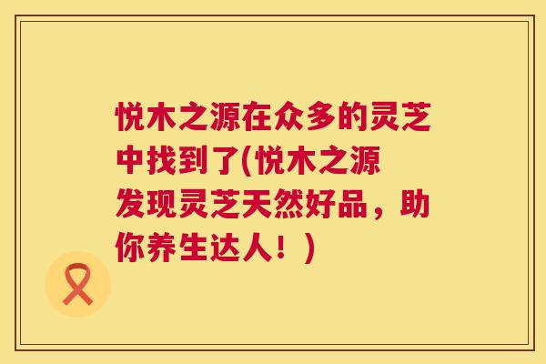 悦木之源在众多的灵芝中找到了(悦木之源 发现灵芝天然好品,助你养生达人!) 第1张 悦木之源在众多的灵芝中找到了(悦木之源 发现灵芝天然好品,助你养生达人!) 第1张