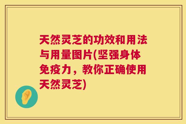 天然灵芝的功效和用法与用量图片(坚强身体免疫力,教你正确使用天然灵芝) 第1张 天然灵芝的功效和用法与用量图片(坚强身体免疫力,教你正确使用天然灵芝) 第1张