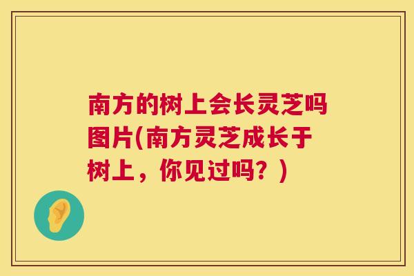 南方的树上会长灵芝吗图片(南方灵芝成长于树上,你见过吗?) 第1张 南方的树上会长灵芝吗图片(南方灵芝成长于树上,你见过吗?) 第1张