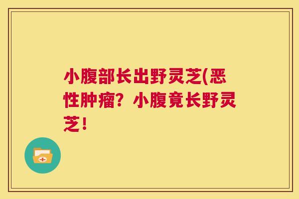 小腹部长出野灵芝(恶性肿瘤？小腹竟长野灵芝！  第1张