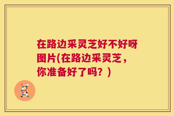 在路边采灵芝好不好呀图片(在路边采灵芝，你准备好了吗？)  第1张
