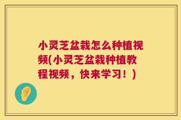 小灵芝盆栽怎么种植视频(小灵芝盆栽种植教程视频，快来学习！)  第1张