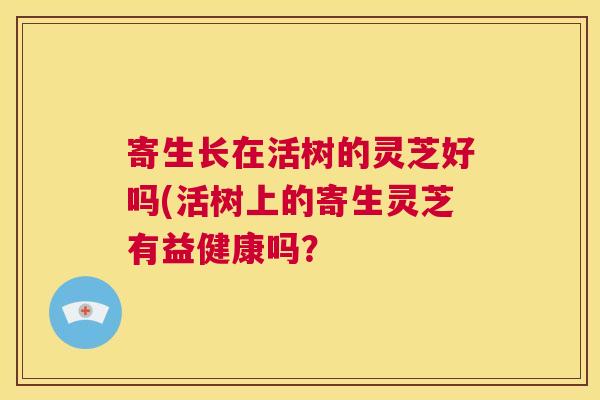 寄生长在活树的灵芝好吗(活树上的寄生灵芝有益健康吗? 第1张 寄生长在活树的灵芝好吗(活树上的寄生灵芝有益健康吗? 第1张