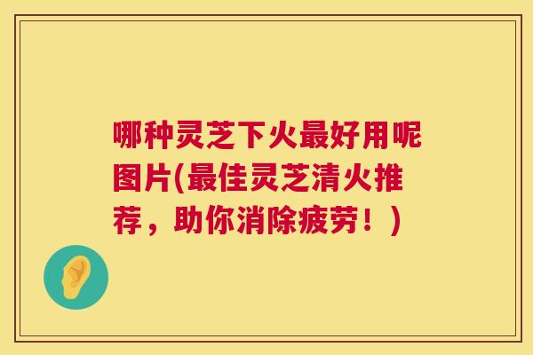 哪种灵芝下火最好用呢图片(最佳灵芝清火推荐，助你消除疲劳！)  第1张