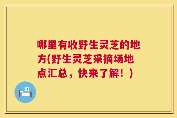 哪里有收野生灵芝的地方(野生灵芝采摘场地点汇总,快来了解!) 第1张 哪里有收野生灵芝的地方(野生灵芝采摘场地点汇总,快来了解!) 第1张