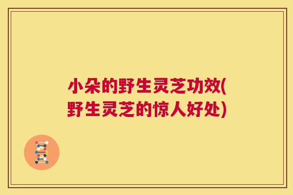 小朵的野生灵芝功效(野生灵芝的惊人好处) 第1张 小朵的野生灵芝功效(野生灵芝的惊人好处) 第1张