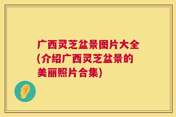 广西灵芝盆景图片大全(介绍广西灵芝盆景的美丽照片合集) 第1张 广西灵芝盆景图片大全(介绍广西灵芝盆景的美丽照片合集) 第1张