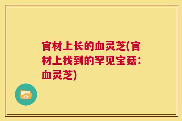 官材上长的血灵芝(官材上找到的罕见宝菇:血灵芝) 第1张 官材上长的血灵芝(官材上找到的罕见宝菇:血灵芝) 第1张