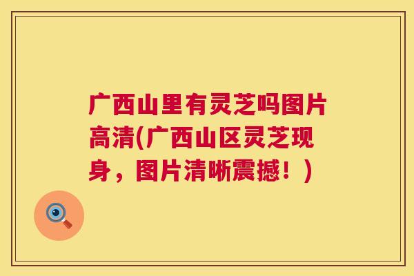 广西山里有灵芝吗图片高清(广西山区灵芝现身,图片清晰震撼!) 第1张 广西山里有灵芝吗图片高清(广西山区灵芝现身,图片清晰震撼!) 第1张
