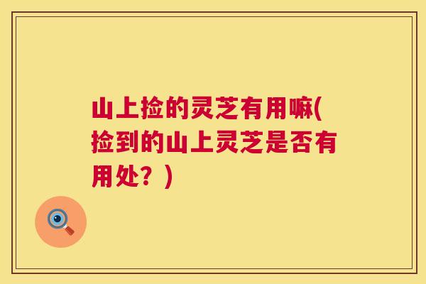 山上捡的灵芝有用嘛(捡到的山上灵芝是否有用处？)  第1张
