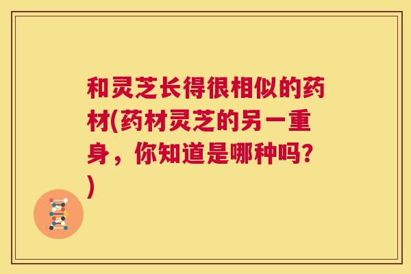 和灵芝长得很相似的药材(药材灵芝的另一重身,你知道是哪种吗?) 第1张 和灵芝长得很相似的药材(药材灵芝的另一重身,你知道是哪种吗?) 第1张