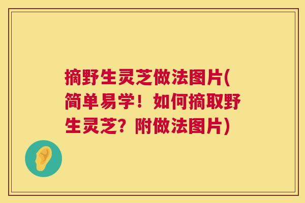 摘野生灵芝做法图片(简单易学！如何摘取野生灵芝？附做法图片)  第1张