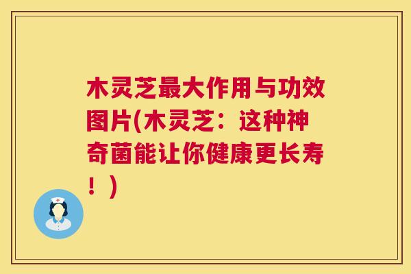 木灵芝最大作用与功效图片(木灵芝:这种神奇菌能让你健康更长寿!) 第1张 木灵芝最大作用与功效图片(木灵芝:这种神奇菌能让你健康更长寿!) 第1张
